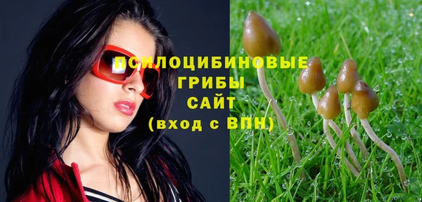 мет Кодинск
