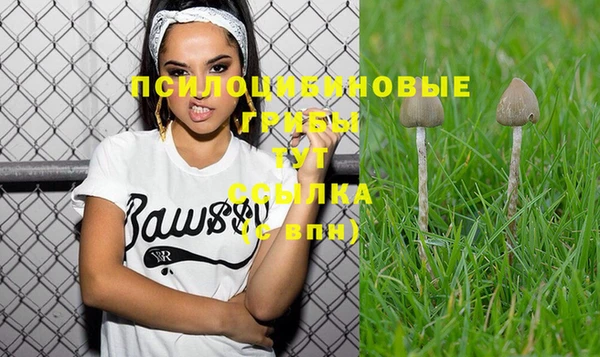 mix Козловка