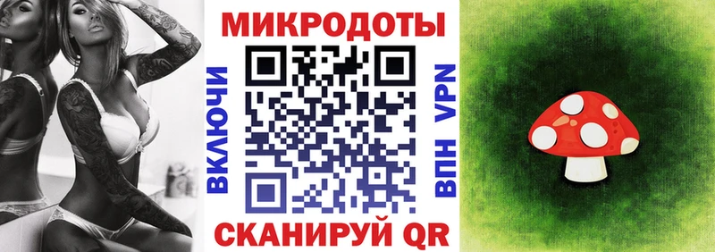 Купить закладки  Берёзовский  Галлюциногенные грибы GOLDEN TEACHER 